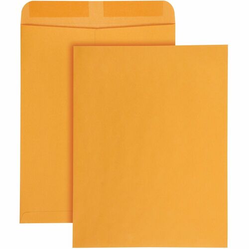 Envelope, Catalog, 12x15.5, Kft 100/BX