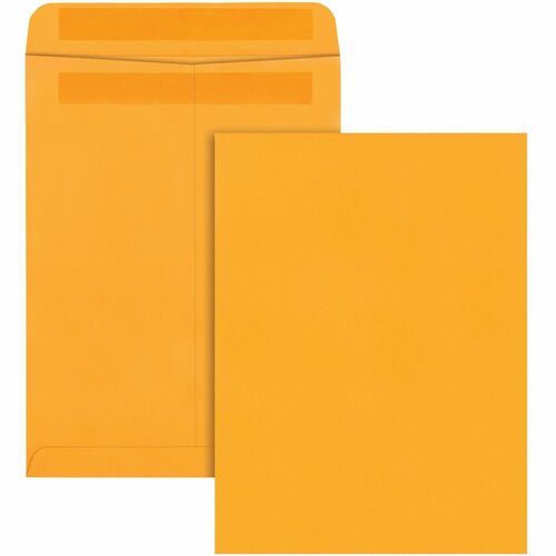 Envelope, Rediseal, 9x12, Thousand Foot 250/BX