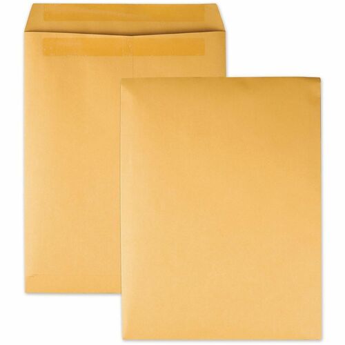 Envelope, Kraft, 9.5x12.5 100/BX
