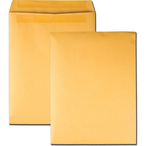 Envelope, Rediseal, 10x13, Kraft 100/BX