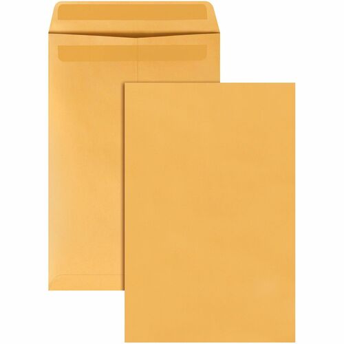 Envelope, RedisSeal, 10x15, Thousand Foot 250/BX