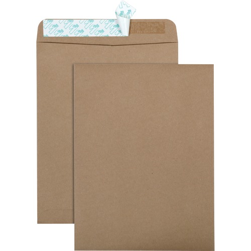 Envelope, R-Strip, Recycled, 9x12 100/BX