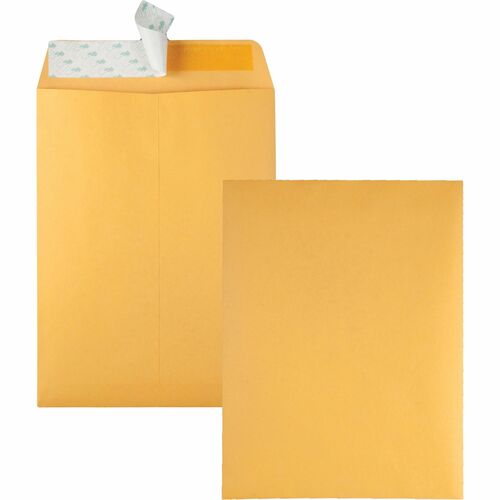Envelope, Remittance Strip, Plain, 9 X 12, Kraft 100/BX