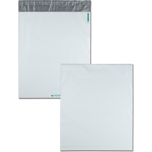 Envelope, Mailer, Poly, Expansion 100/CT