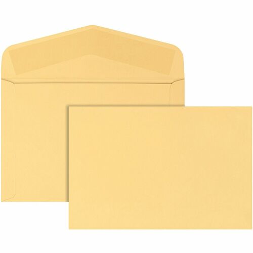 Envelope, Document, 10x15, CBF 100/BX