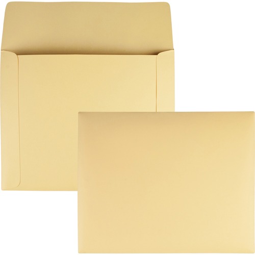 Envelope, File, Flat, With Flaps 100/BX