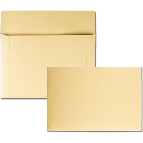 Envelope, File, 10x14-3/4, Cam 100/BX