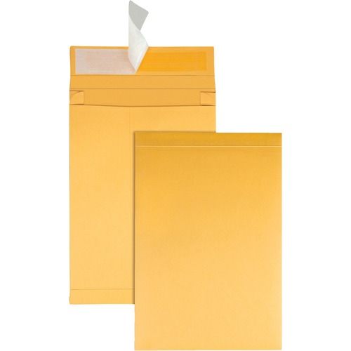 Envelope, Rstrp, Expn, 9x12x2 25/PK