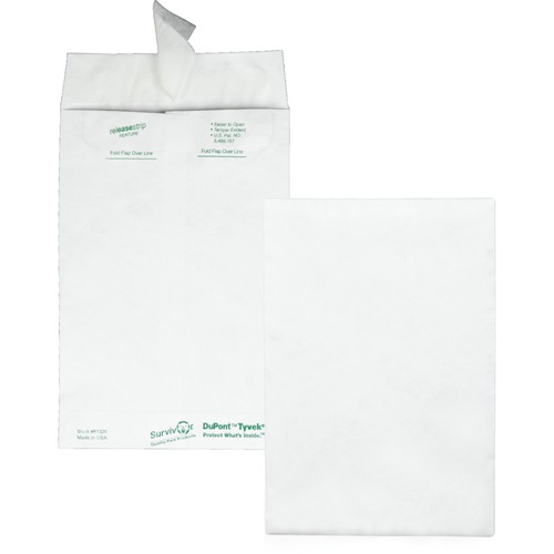 Envelope, Catalog, Plain, 6x9 100/BX