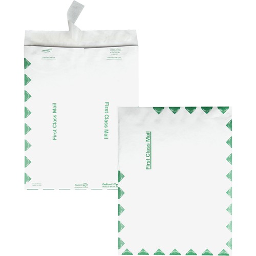 Envelope, Catalog, First Class, 6x9 100/BX