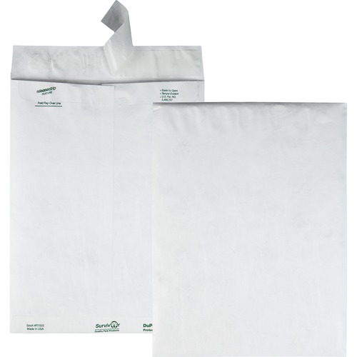 Envelope, Catalog, 9.5x12.5 100/BX