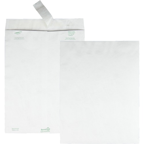 Tyvek Open-End Envelope, Plain, 10" x 13", White 100/BX
