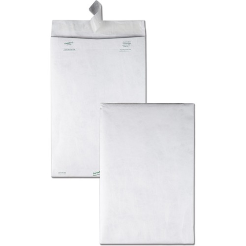 Envelope, Catalog, Plain, 10x15 100/BX