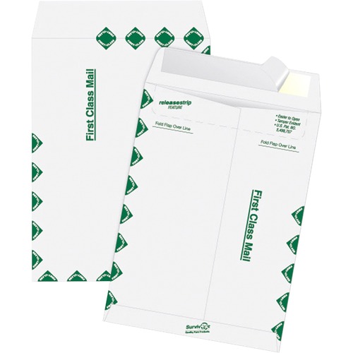 Envelope, Catalog, 1 Class, 12 X 15.5 100/BX