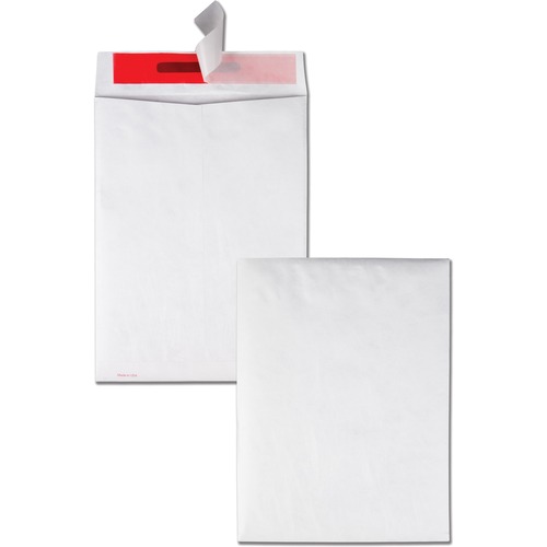 Envelope, Tamper-Resistant, 9x12 100/BX