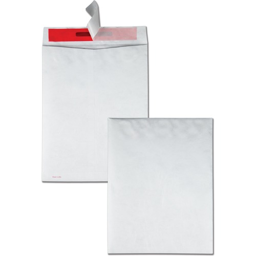Envelope, Tamper Resistant, 10x13 100/BX