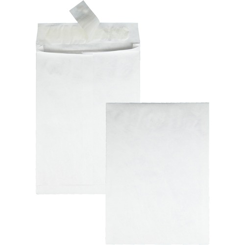 Envelope, Expansion, 10 x 13 x 1.5 100/CT