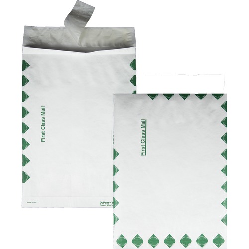Envelope, 1st Class, 10 x 13 x 1.5 100/CT