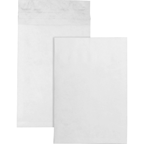 Envelope, Expansion, 12 X 16 X 2 100/CT