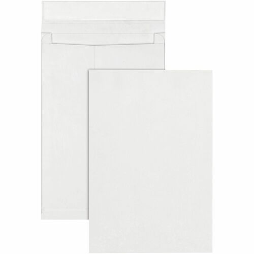Envelope, Expansion, 12x16x2 25/BX