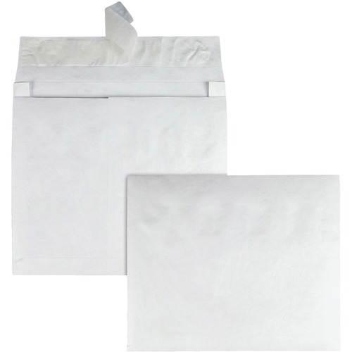 Envelope, Expansion, 10 X 13 X 2 100/CT