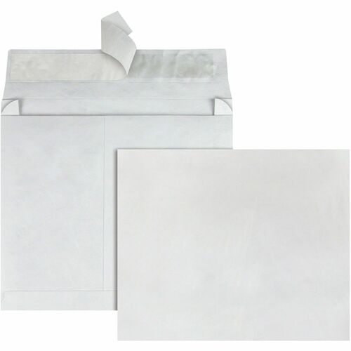 Envelope, Expansion, 10 X 15 X 2 100/CT