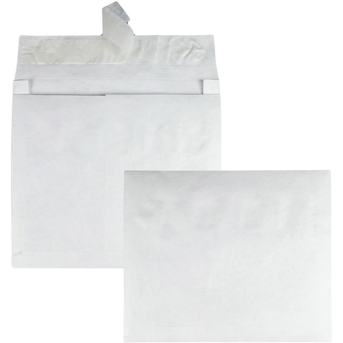 Envelope, Expansion, 10x13x2 100/CT