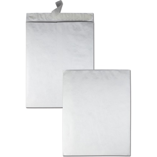 Envelope, Mailer, Jumbo, 18x23 25/BX