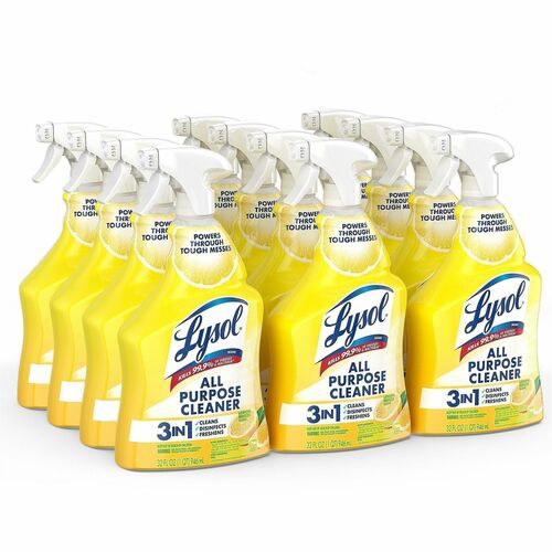 Cleaner, All Purpose, Lysol, YW 12/CT