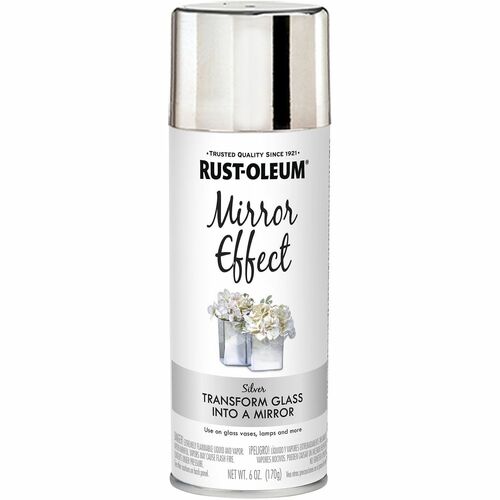 Paint, Spray, Mirror, Silver, 6 Oz
