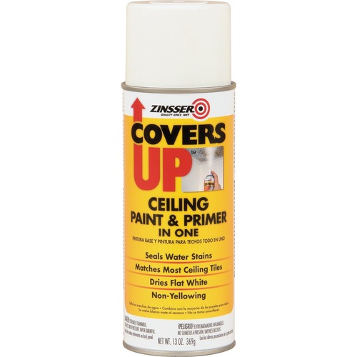 Paint, Primer, Coverup, Aerosol