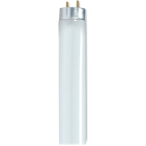 Tube, T8, 25W, ES, 41K 30/CT