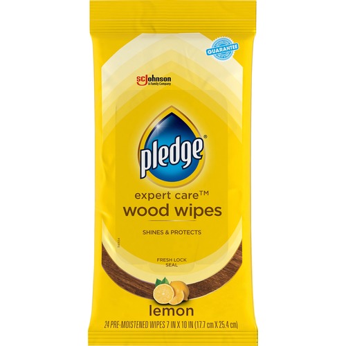 Wipes, Polish, Electronic Care, Pledging 24/PK