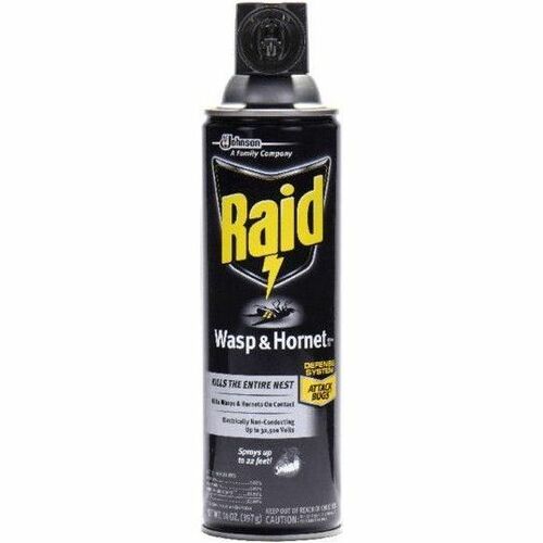 Insecticide, Wasp & Hornet, Raid