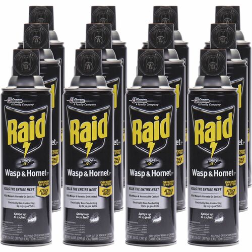 Insecticide, Wasp & Hornet, Raid 12/CT