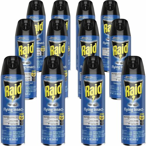 Insecticide, Flying Insect, Raid 12/CT