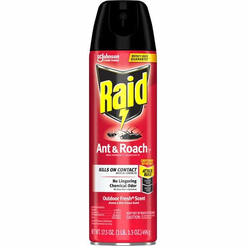 Insecticide, Ant & Roach, Raid