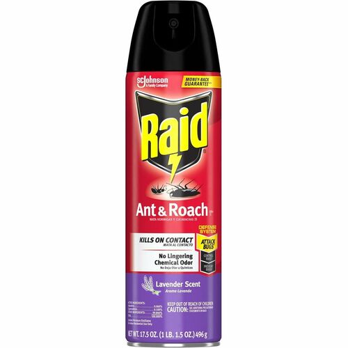 Spray, Ant and Roach, Lavender, Raid 12/CT