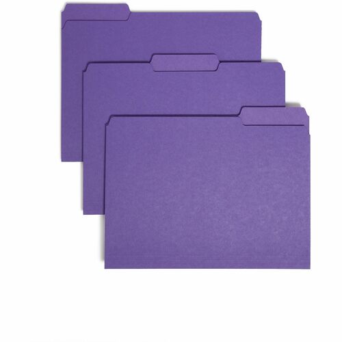Folder, Interior, Letter, 1/3, PE 100/BX