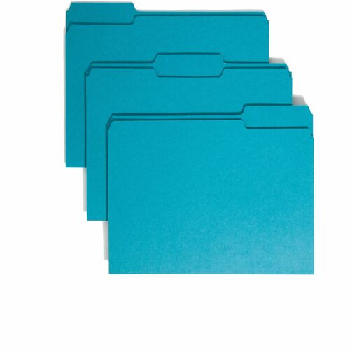 Folder, File, LTR, 1/3, Teal 100/BX