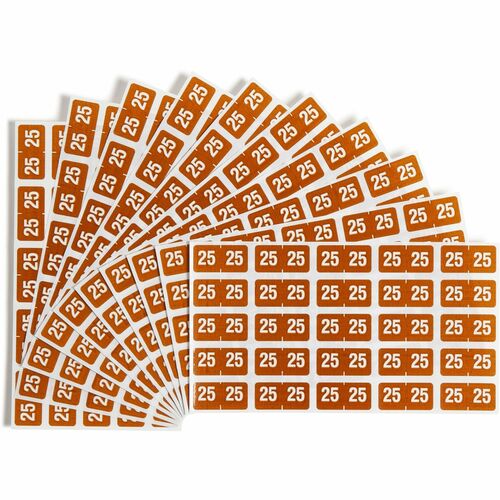 Year Labels, ETS 2025, Color-Coded, 1" x 1/2", Brown 250/PK