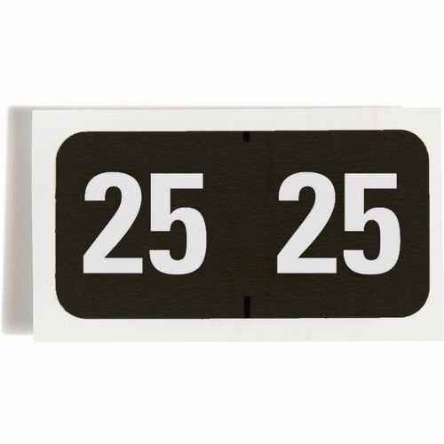 Year Labels, 2025, Color-Coded, 1-1/2" x 3/4", Black 500/RL
