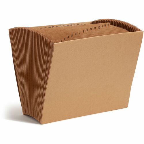 File, Expand, Letter, Daily, 31 Pocket