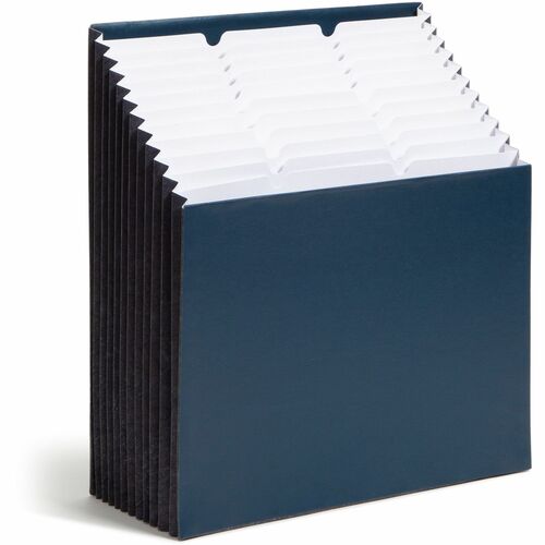 File, Stadium, Ltr, 12 Pocket, Ny