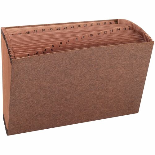 File, Exp, 15x10, Daily, 31Pkt