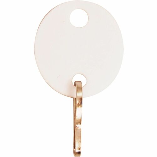 Tags, Key, Oval, Plastic 20/PK