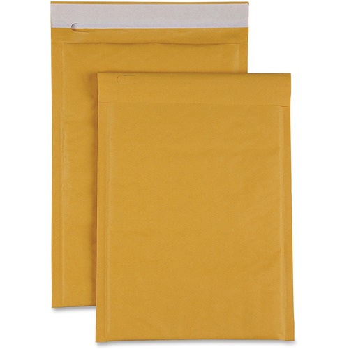 Cushioned Bubble Mailer, 5" x 10", KFT 250/CT
