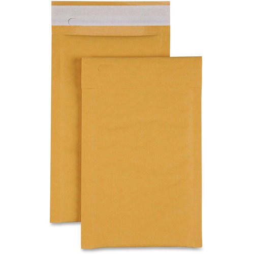 Mailer, #0 Bubble, 6x10 200/CT