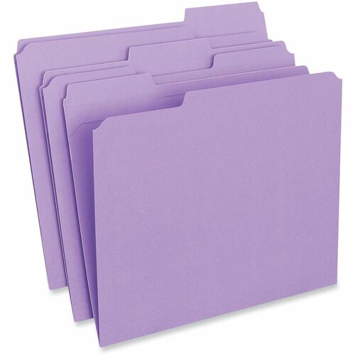 Folder, Reinforced 1/3 Letter, VL 100/BX