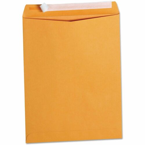 Envelope, 10 X 13, Catalog, Breaker 100/BX